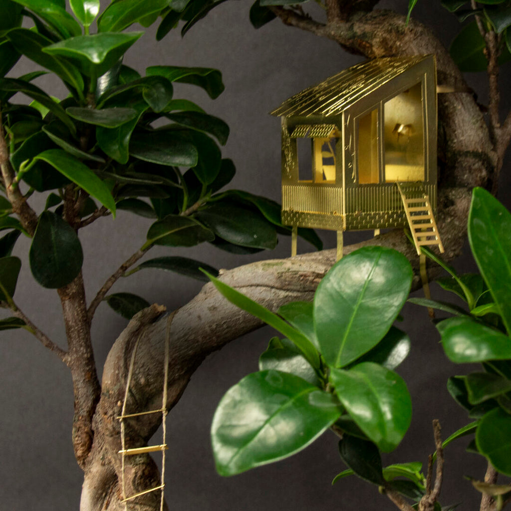Botanopia Tiny Treehouse für Zimmerpflanzen