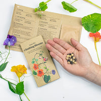 Botanopia Kletterblumen-Mix