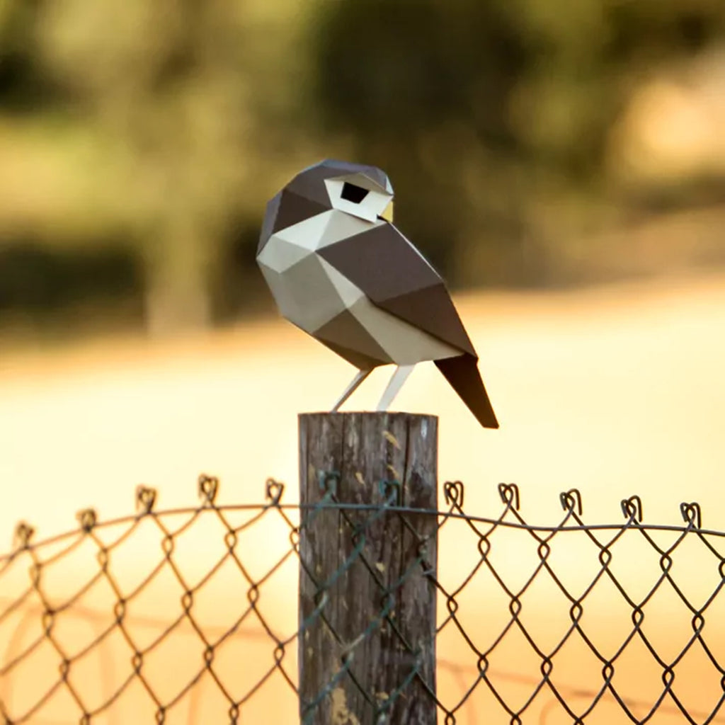 PLEGO Bastelset Athene Noctua