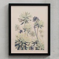 Chris Turnham Succulent Study 1 (11 x 14") schwarz