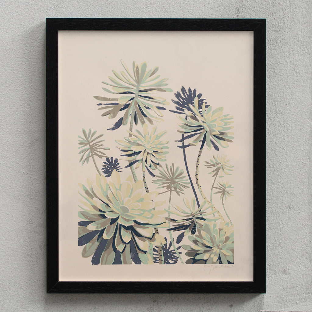 Chris Turnham Succulent Study 1 (11 x 14") schwarz