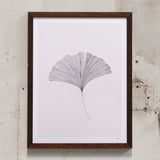 Ana Frois Gingko Leaf (30 x 40cm)