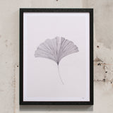 Ana Frois Gingko Leaf (30 x 40cm)