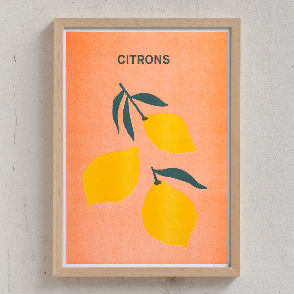 Domitille Cure Citrons (Din A3)