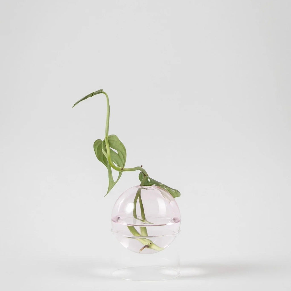Studio About Vase Standing Flower Bubble Low Tube (Rose)