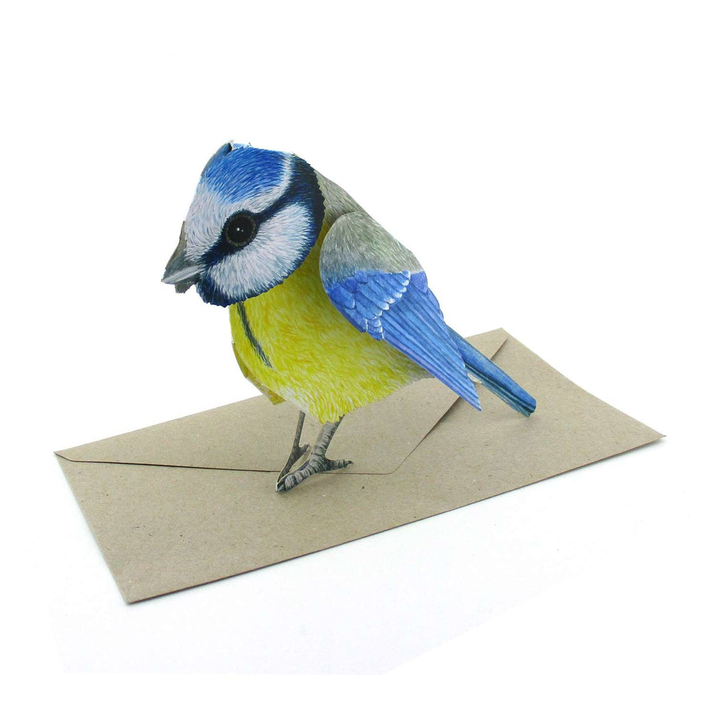 Gollnow Paper Creations 3D Karte Blaumeise