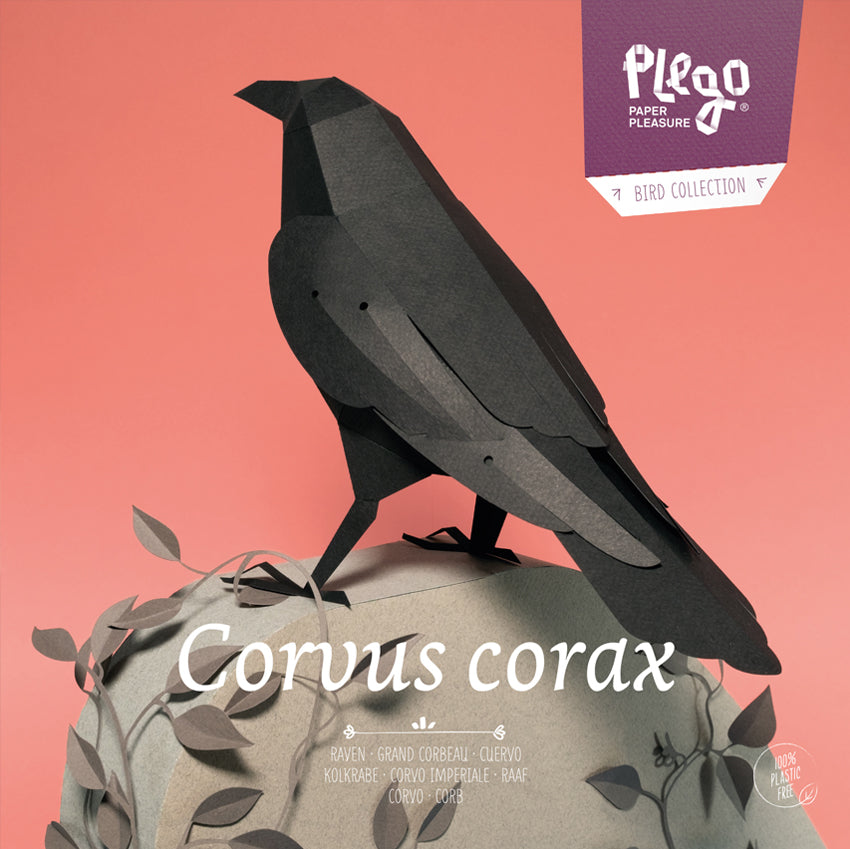 PLEGO Bastelset Corvus Corax