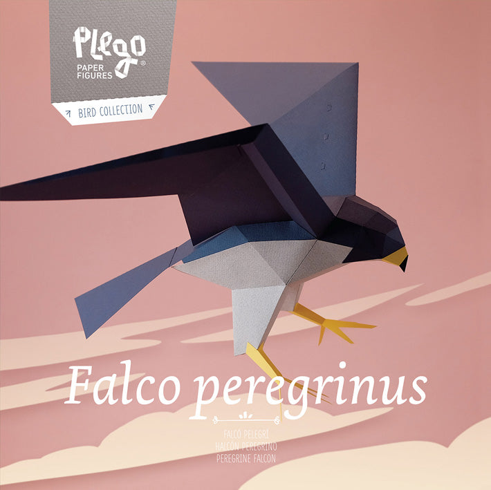 PLEGO Bastelset Falco Peregrinus